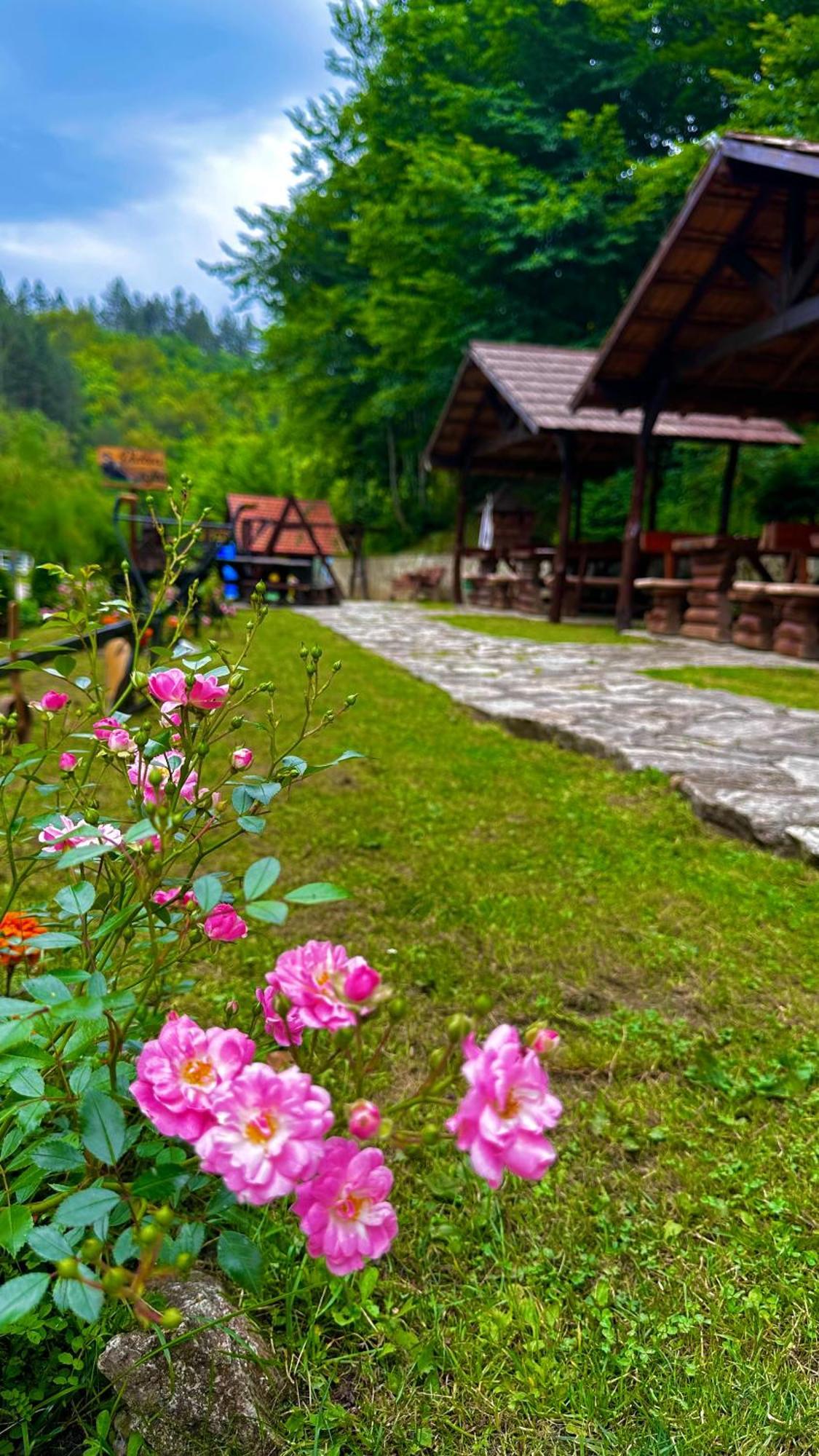 Motel Stovrela Цазин Экстерьер фото